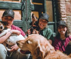Voluntariado en Refugios de Animales y Centros de Adopción: Un Acto de Amor y Compasión