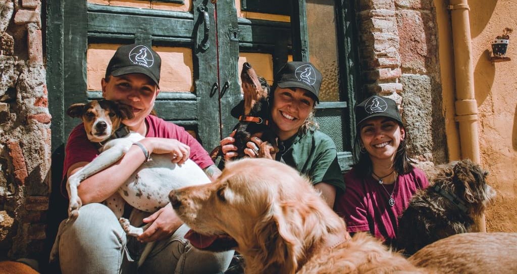 Voluntariado en Refugios de Animales y Centros de Adopción: Un Acto de Amor y Compasión